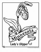 Coloring Pages State Flower Plate License Minnesota Nebraska Template Vector Print Getcolorings Getdrawings Motorhome sketch template