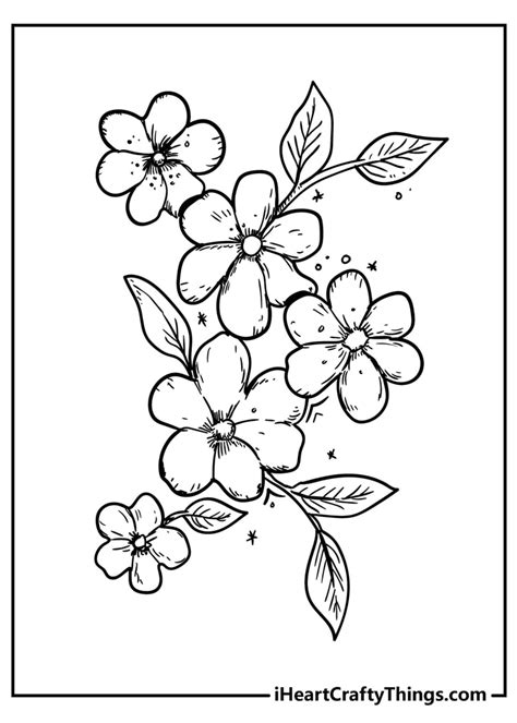 coloring pages  print flowers