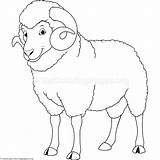 Ram Coloring Pages Getcolorings sketch template