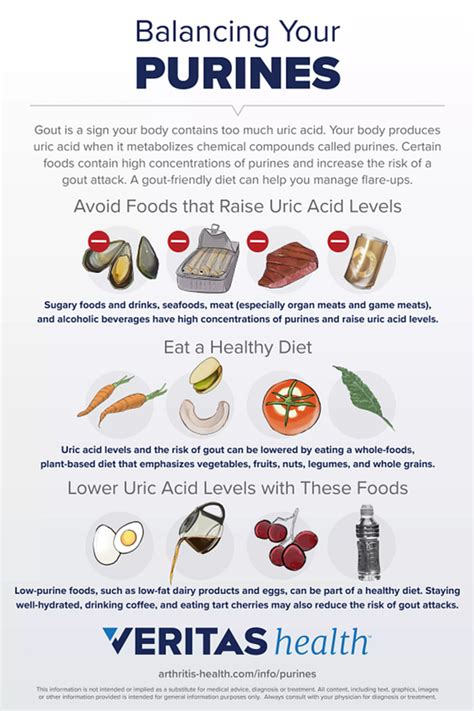 Uric Acid Level Chart Sam Nash