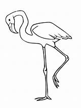 Flamingo Coloring Simple Pages Printable Kids Categories sketch template