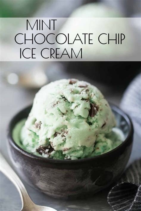 homemade mint chocolate chip ice cream  recipe   easy