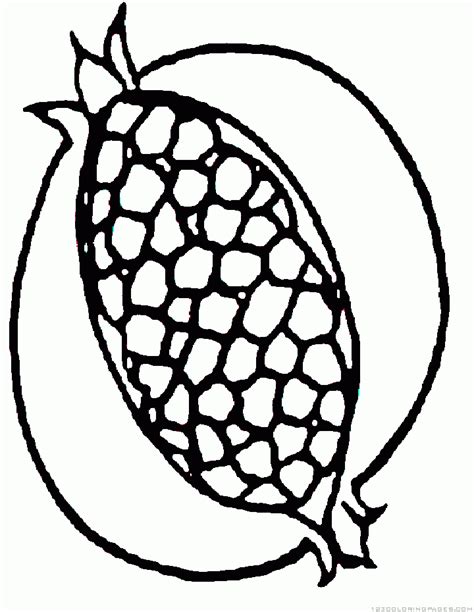 coloring pages pomegranate coloring imges