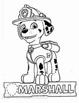 Paw Ausmalbild Marshal Coloringonly Zuma Mighty sketch template