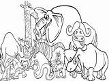 Pages Coloring Getdrawings Phonics Animals Color sketch template