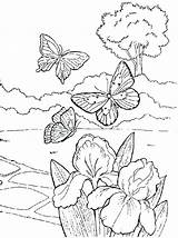 Coloring Spring Pages First Getcolorings Springtime Printable sketch template