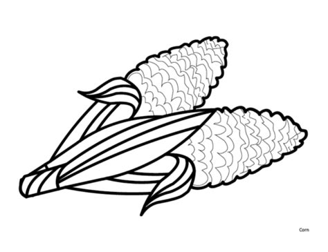 thanksgiving coloring pages gift  curiosity