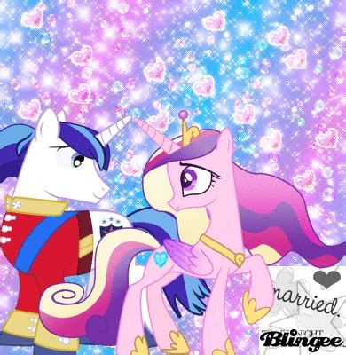 married   knight  shining armor picture  blingeecom