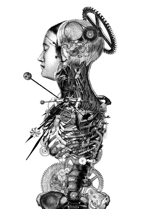 images  anatomical art  pinterest mondays human anatomy  muscle