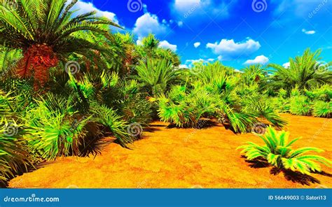 african oasis stock image image  holiday natural