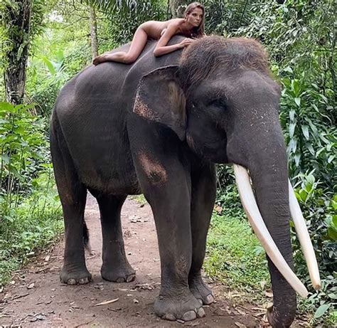 Influencer Forced To Apologise Over Nude Shoot With Elephant