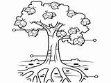 Plantas Arbol Cuidando árbol Compartiendo Arboles Cuidar Hoja Conociendo Planificación Funciones Crepe sketch template