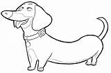 Dog Coloring Pages Weiner Drawing Dachshund Template Daschund Haired Sketch Clipartmag sketch template