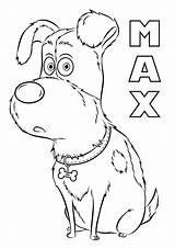 Pets Secret Coloring Pages Life Max Color Print Kids Printable Characters Underwood Carrie Children Dog Animal Drawing Cartoon 08kb 1500px sketch template