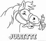 Juliette Kleurplaten Naam Kleurplaat Paard Sinterklaas Kabouter sketch template