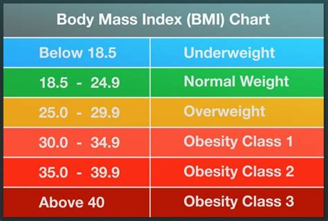 Bmi Calculator Measure Your Body Mass Index For Better Health And Fitness