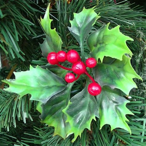 christmas holly  stock photo public domain pictures