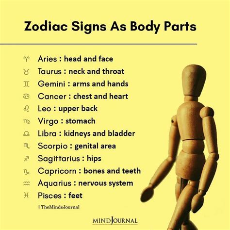 pin  zodiac signs zodiac memes  zodiac traits