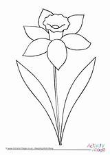 Daffodil Colouring Outline Drawing Pages Flower Clip Color Spring Coloring Welsh Flowers Easy Kids Simple Drawings Activityvillage Clipart Patterns Children sketch template