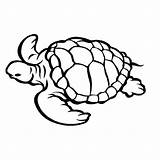 Marine Animals Tortue Coloriage Coloring Imprimer Dessin Animaux Coloriages Et Drawing Fr Mandala sketch template