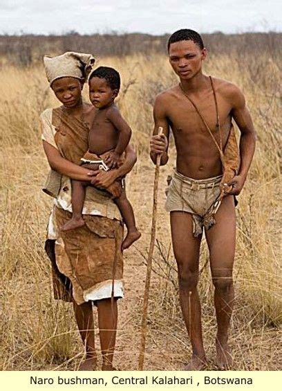 the bushman of the kalahari desert in south namibia aka the san people have by genetic