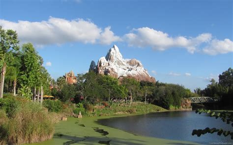 disney animal kingdom wallpaper wallpapersafari