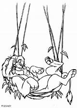 Lion Hammock Simba Coloring Pages King Napping Jungle Disney Hellokids Print Color Online sketch template