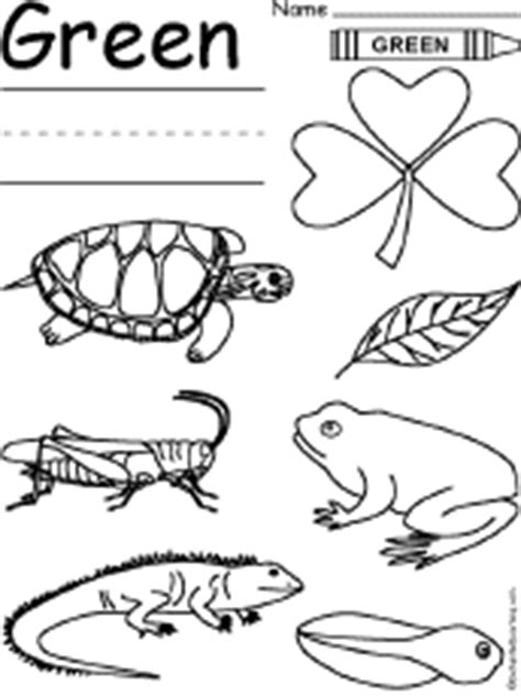 coloring  drawing worksheets colors  enchantedlearningcom