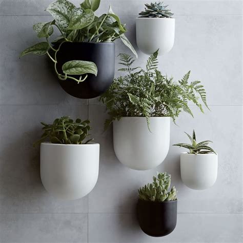 stylish wall planters   buy
