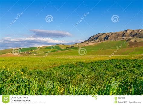 green meadows stock photo image  agricultural outdoor