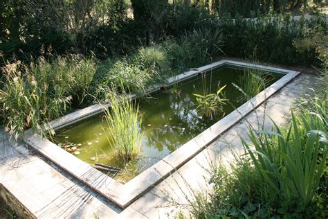 bassin de jardin installer amenager  entretenir  bassin dexterieur