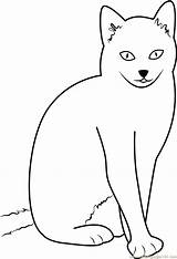 Cat Sitting Coloring Style Pages Drawing Coloringpages101 Getdrawings Cats sketch template