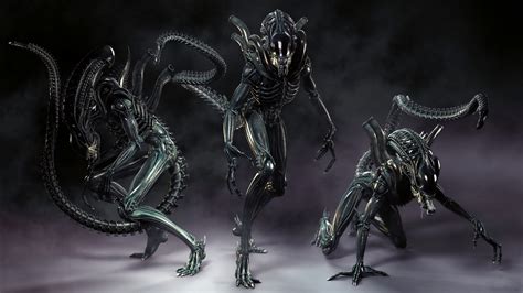 alien colonial marines full hd wallpaper and background image 1920x1080 id 206334