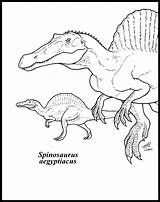 Spinosaurus Colorear Dinosaur Espinossauro Aegyptiacus Raskrasil sketch template