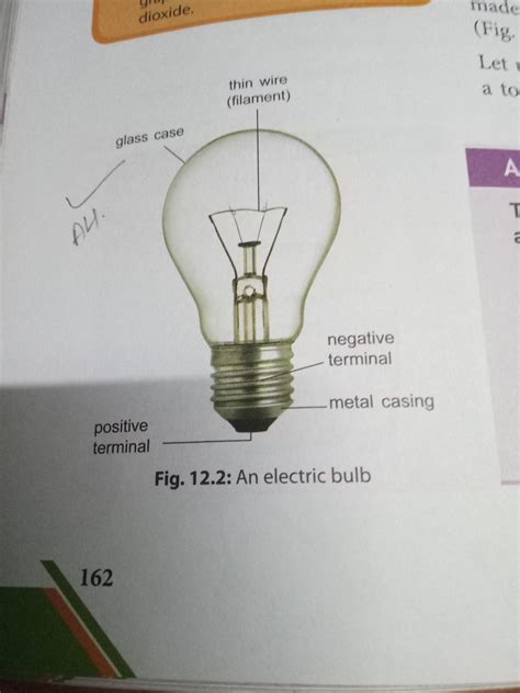 explain  structure  working   electric bulb