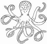 Octopus Drawing Outline Clipart Step Clip Line Draw Cartoon Drawings Realistic Simple Cute Easy Vector Cliparts Painting Kids Motherhood Tasking sketch template