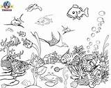 Under Coloring Pages Sea Print Fish Tropical sketch template