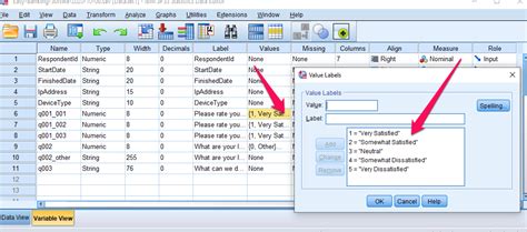 spss  labels surveyrock articles