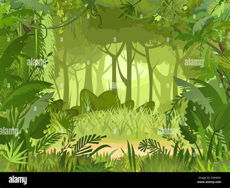 sandy glade jungle background plants rainforest beautiful green