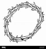 Crown Drawing Thorn Simple Line Hand Vector Isolated Background Jesus Illustration Drawn Coloring Book Stock Alamy Resurrection Christ sketch template