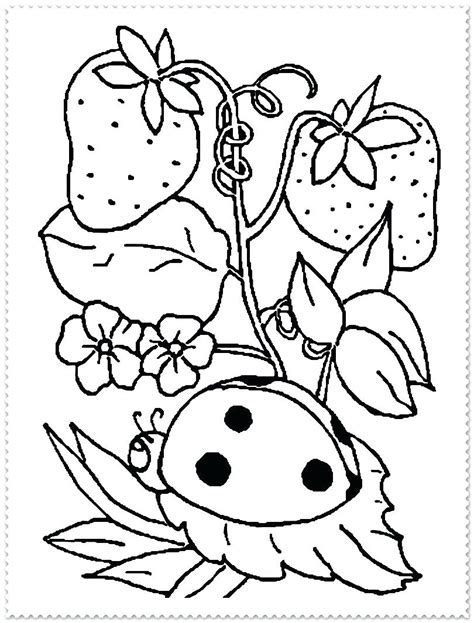 springtime coloring pages  getdrawings