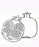 Pomegranate Coloring Pages Seeds Red Clipart Fruit Fruits Cliparts Clip Library Template Gif sketch template