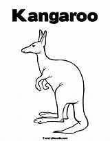 Kangaroo Coloring Aboriginal Template Pages sketch template
