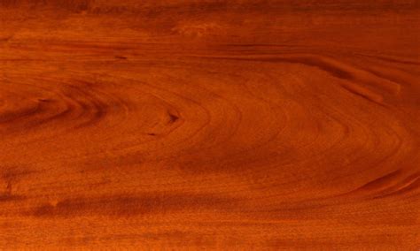 south american mahogany irion lumber company