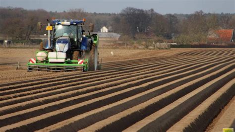 czav fosfaat  rij zorgt voor meer aardappelen akkerwijzernl nieuws en kennis voor de