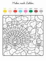 Malen Zahlen Numeros Pavo Pfau Ausmalbild Erwachsene Coloriage Magique Ausmalbilder Numero Vorlage Crayola Erstaunlich Muster Imprimir Mandalas Nummern Herunterladen Indianer sketch template