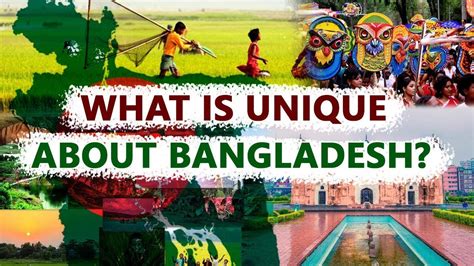 facts of bangladesh flimsytoday youtube