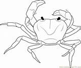 Crab Coloringpages101 sketch template