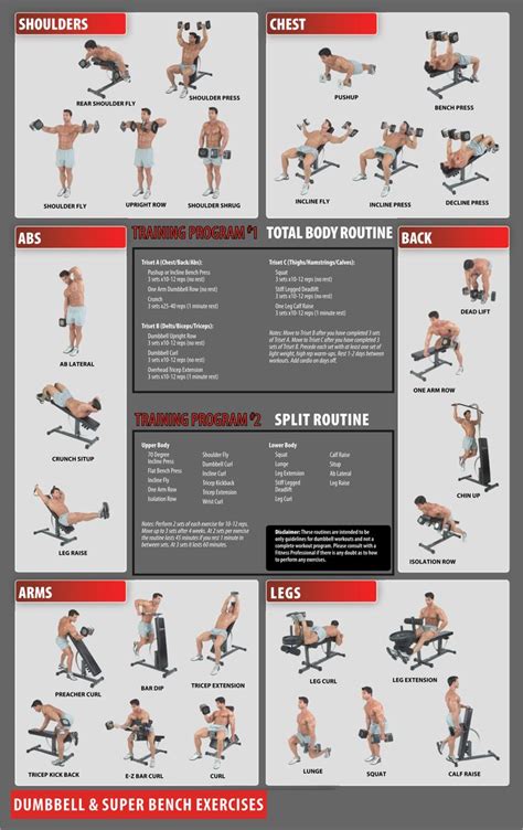 dumbbell workouts exercise charts  dumbbell workout program