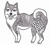 Shiba Inu Zentangle Kuro Drawings Coloring Choose Board Dog sketch template